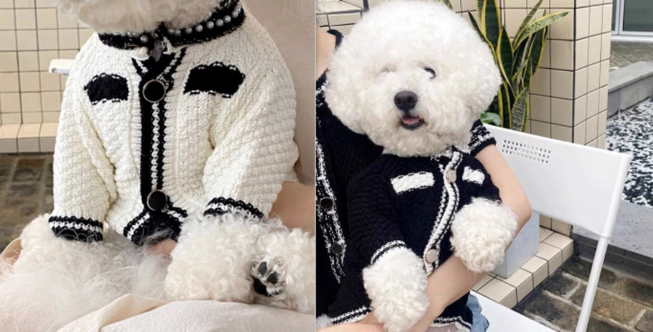 Dog Striped Knitted Sweater Cardigan Clothing